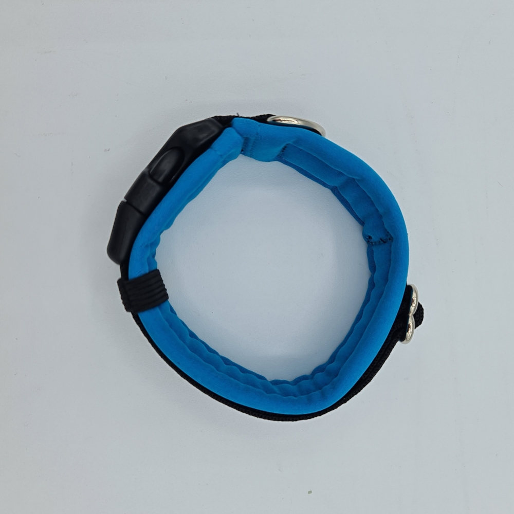 Halsband schwarz-blau mit Pfötchen, verstellbar & gepolstert